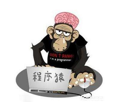 程序员的另一种日常
