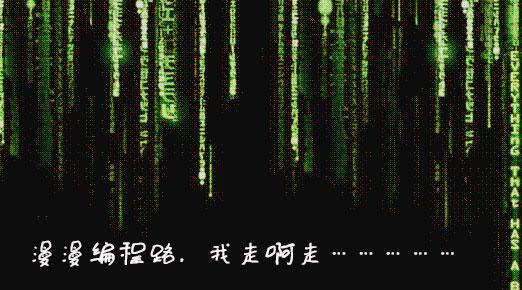 所以你根本不想成为一名程序员